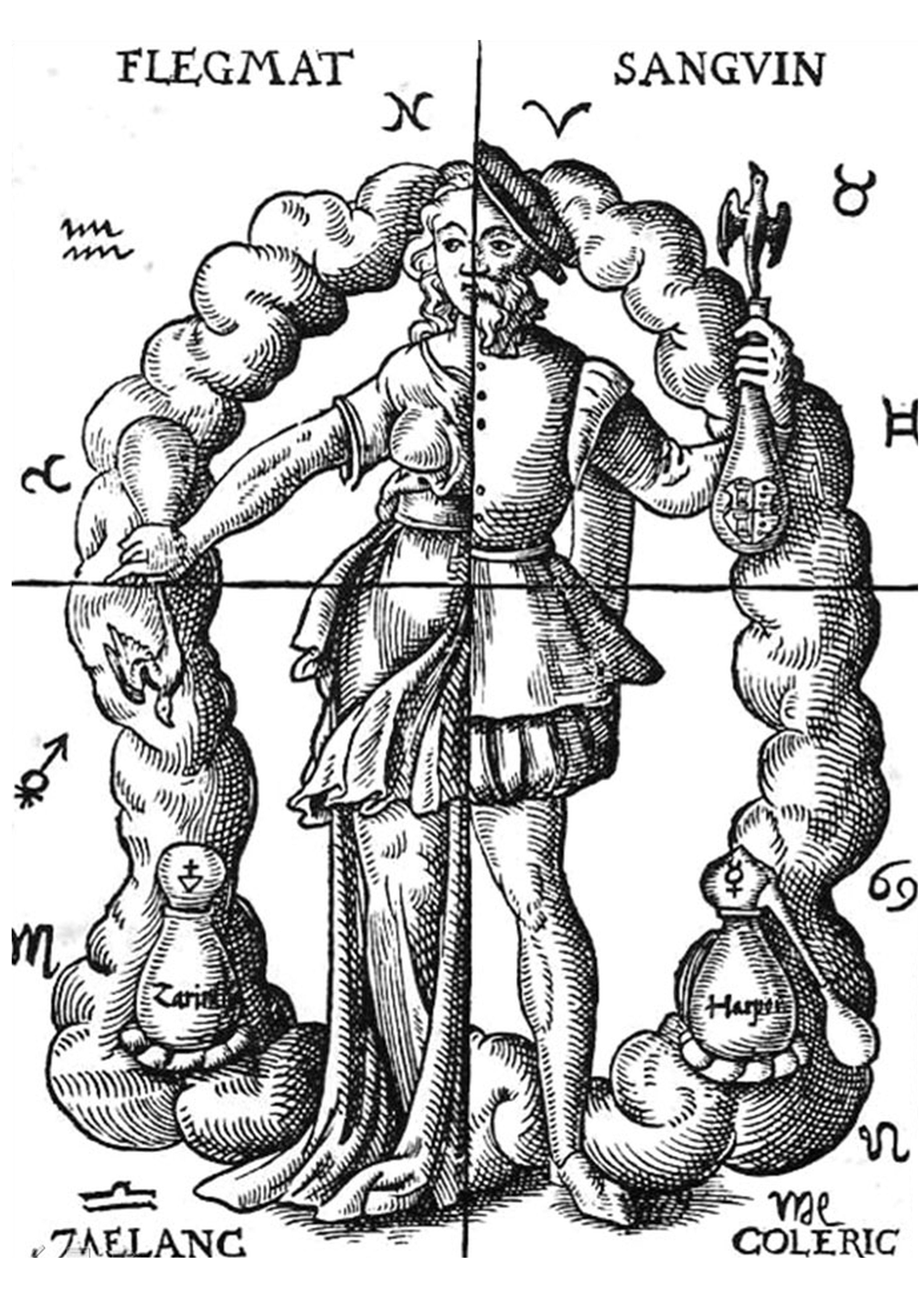 A black and white illustration of a human body divided into 4 quadrants, depicting the alchemic approach to four humors in relation to the four elements and zodiacal signs.