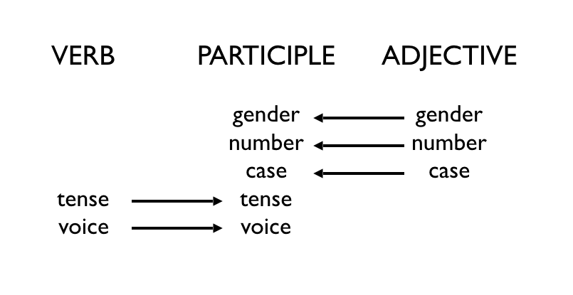 Verb adjective. Adjectif verbal образование. Ancient Greek Tenses. Ancient Greek Conjugation verbs. Greek verb Ending.